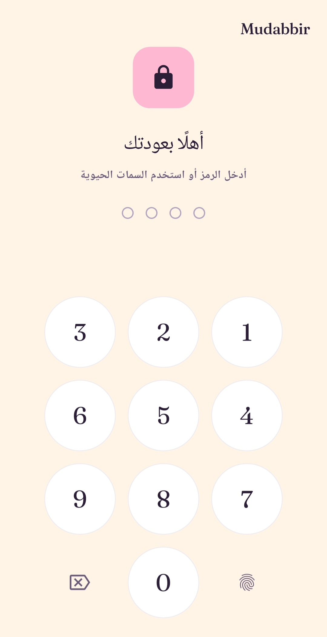Mudabbir privacy and app lock settings